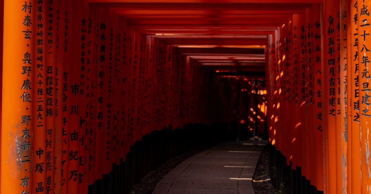 Анализ игровых механик Gates of Olympus Super Scatter