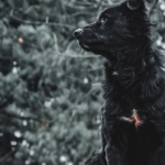 Схема программы лояльности казино без депозита